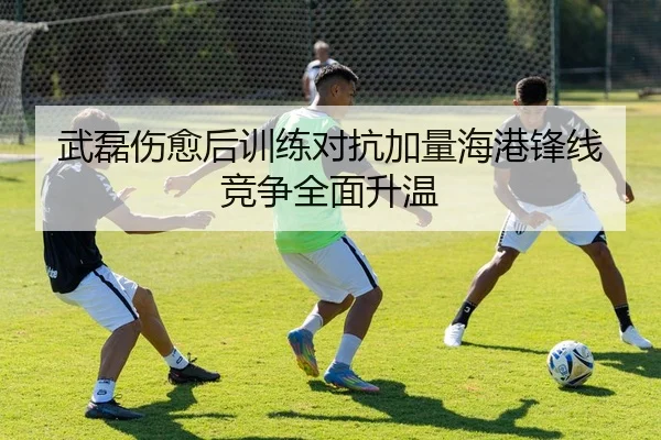 武磊伤愈后训练对抗加量海港锋线竞争全面升温